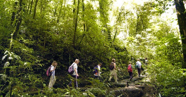 Costa Rica Expeditions, Rain & Cloud Forest Odyssey