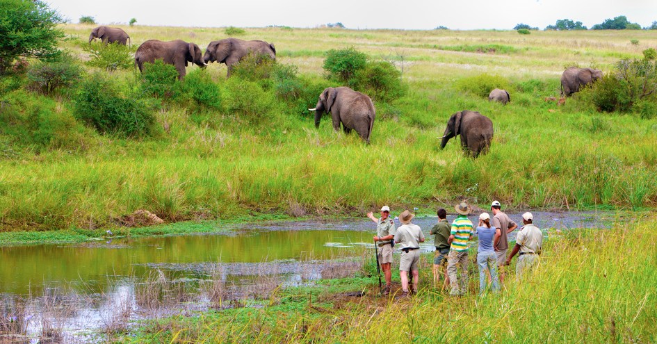 Kapama Private Game Reserve
