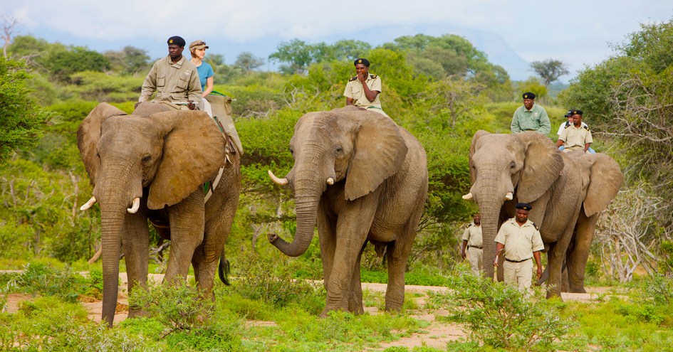 Kapama Private Game Reserve