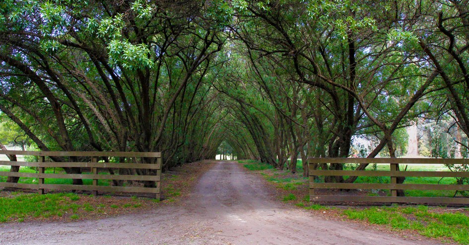 Estancia Santa Isabel