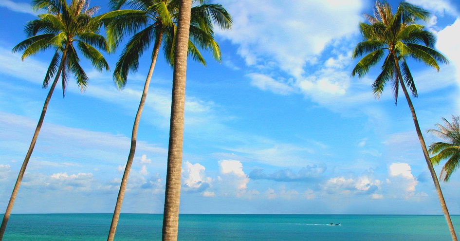 Infinity Residences & Resort Koh Samui