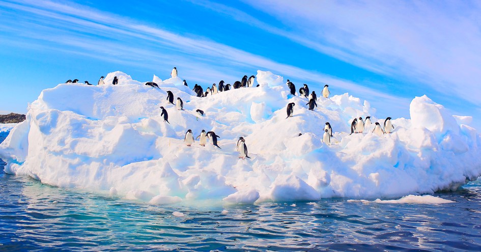 Orion Expedition Cruises, Orion