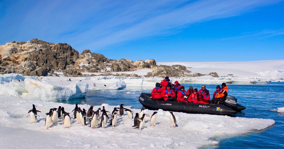 Orion Expedition Cruises, Orion