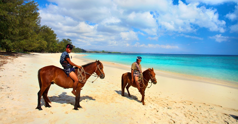 Orion Expedition Cruises, Orion