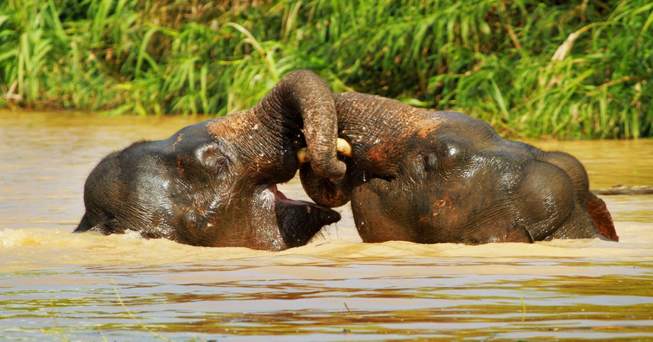 Orion Expedition Cruises