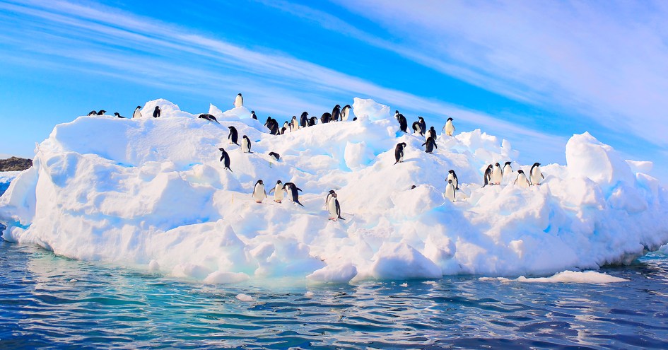 Orion Expedition Cruises