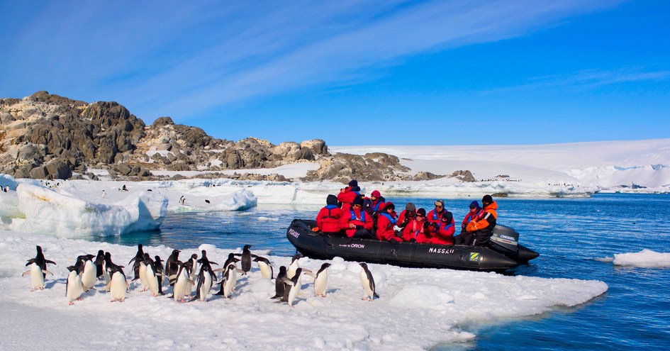 Orion Expedition Cruises