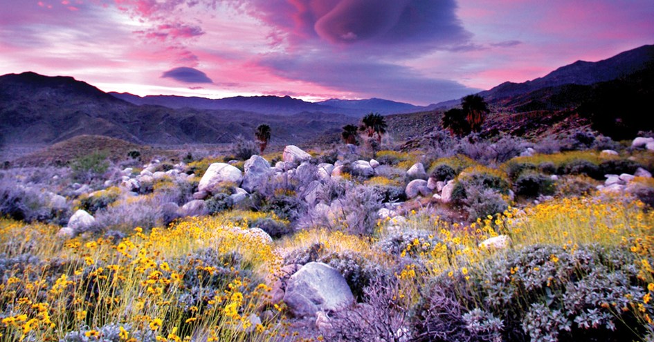 Miramonte Resort & Spa