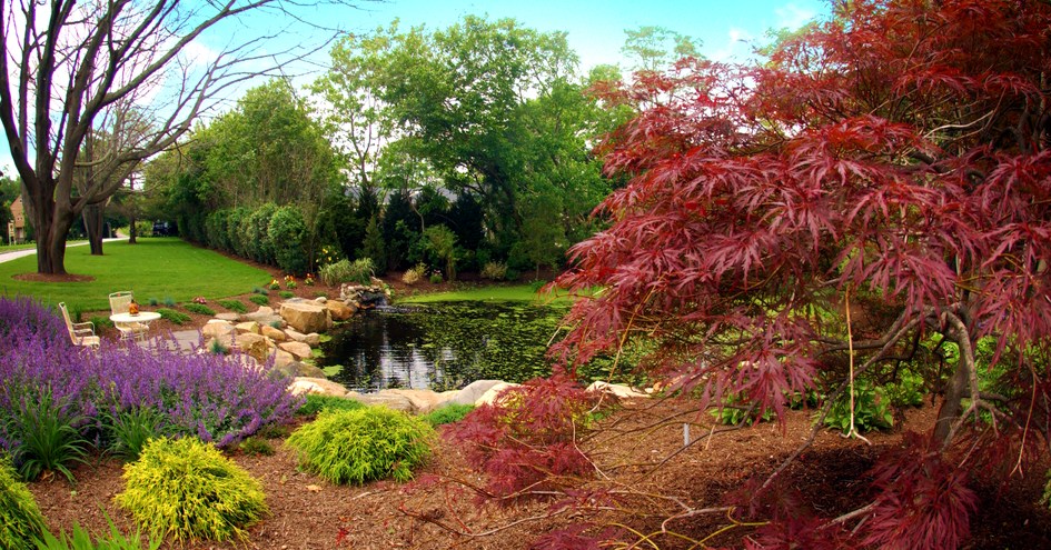 Jedediah Hawkins Inn