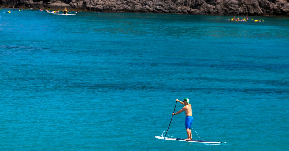 Exotic Estates International