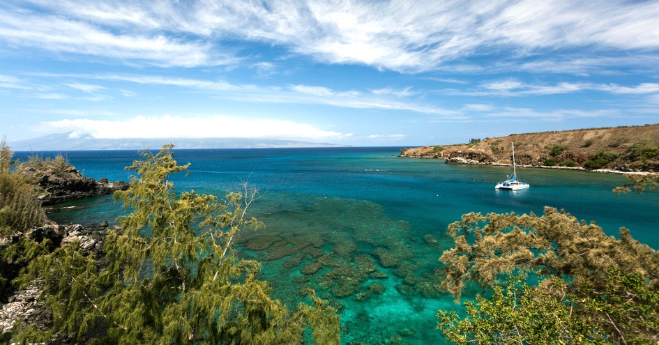 Exotic Estates International