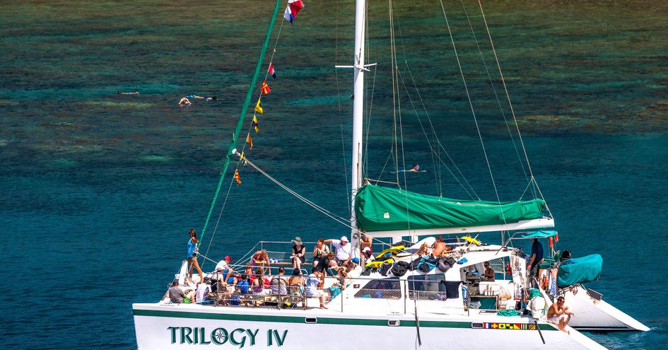 Exotic Estates International