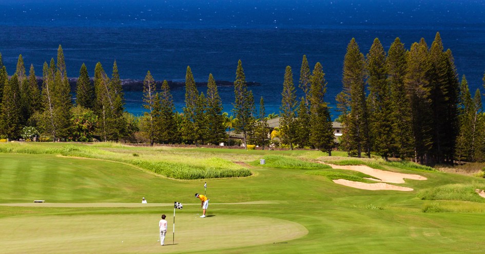 Exotic Estates International