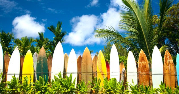 Exotic Estates International