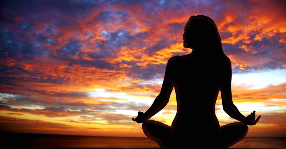 Exotic Estates International