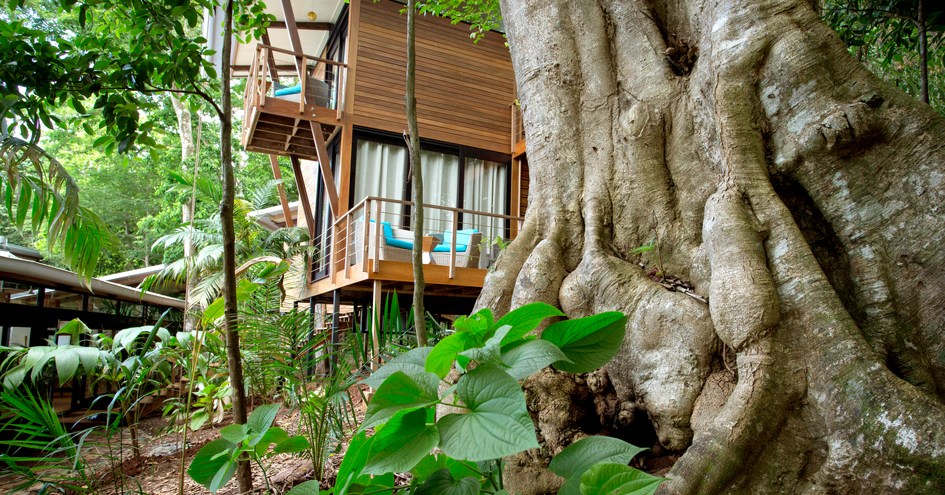 The Resort at Isla Palenque