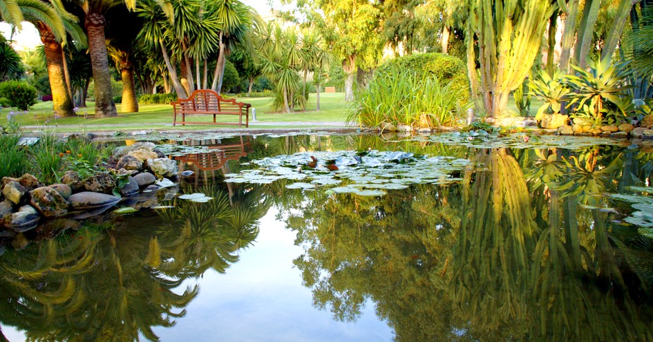 Don Carlos Leisure Resort & Spa