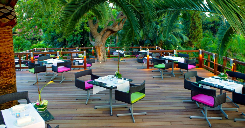 Don Carlos Leisure Resort & Spa