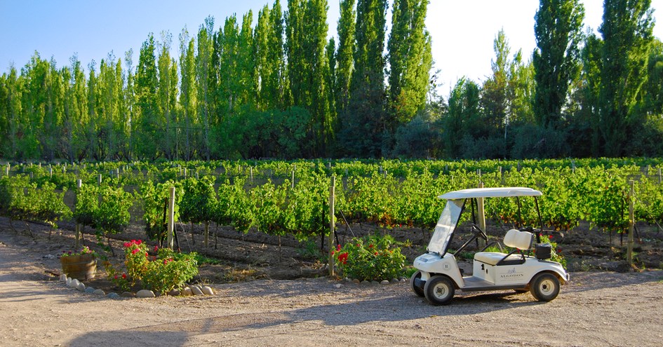 Algodon Wine Estates & Champions Club