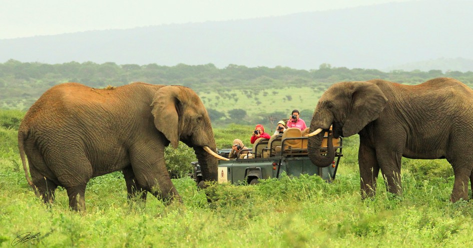 Thanda Safari