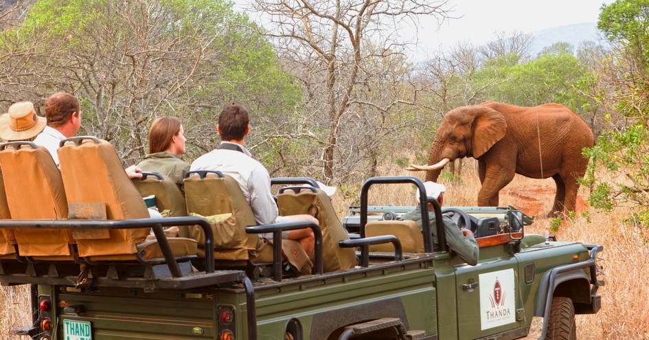 Thanda Safari
