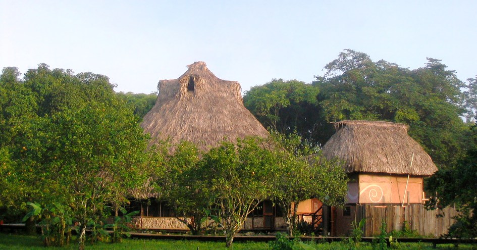 Cotton Tree Lodge