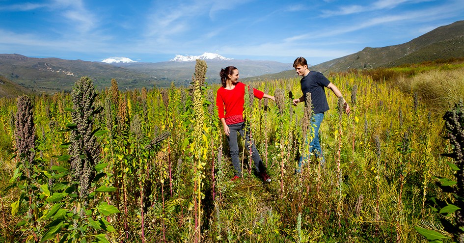 Aranwa Pueblito Encantado del Colca
