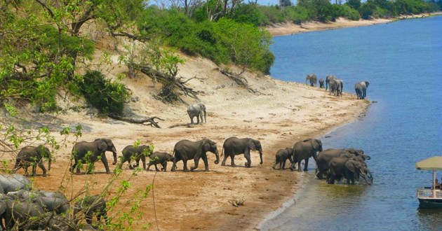 Botswana Fly In Safari, a Luxury Link Exclusive