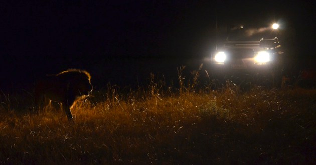 Botswana Fly In Safari, a Luxury Link Exclusive