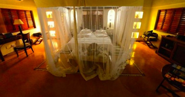 Botswana Fly In Safari, a Luxury Link Exclusive