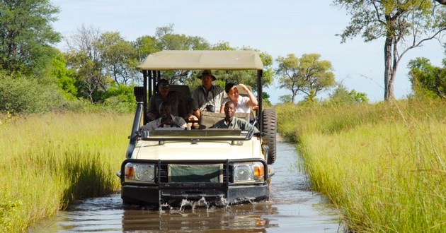 Botswana Fly In Safari, a Luxury Link Exclusive