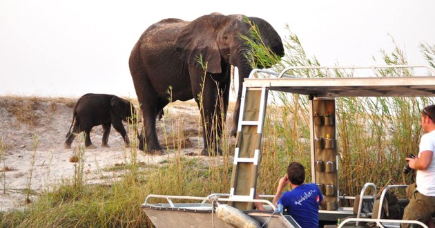 Botswana Fly In Safari, a Luxury Link Exclusive