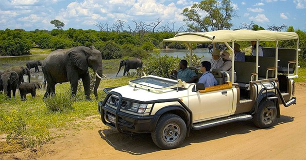 Botswana Fly In Safari, a Luxury Link Exclusive
