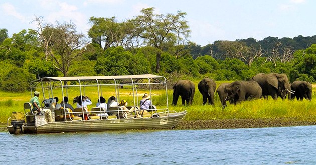 Botswana Fly In Safari, a Luxury Link Exclusive
