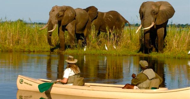 Untamed Zambia, a Luxury Link Exclusive
