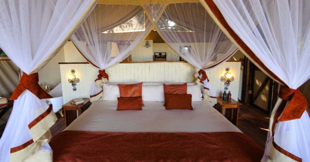 Untamed Zambia, a Luxury Link Exclusive