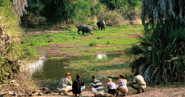 Untamed Zambia, a Luxury Link Exclusive