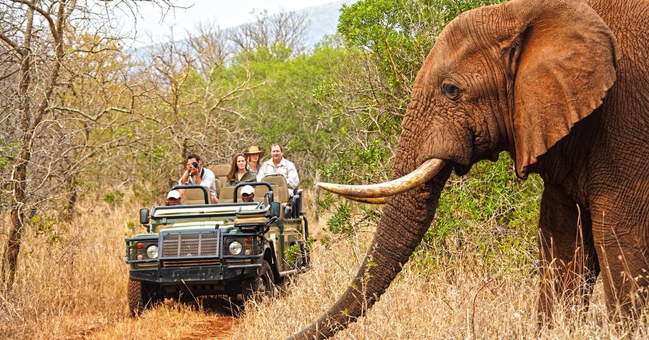 Thanda Safari