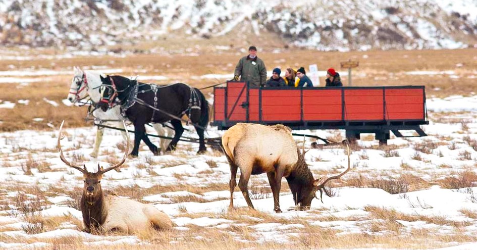 Teton Mountain Lodge and Spa