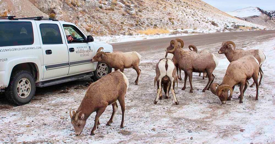 Teton Mountain Lodge and Spa