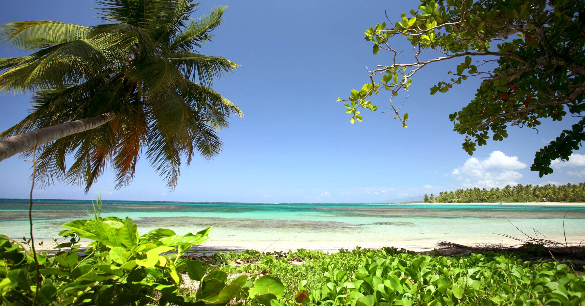 Xeliter Balcones del Atlántico