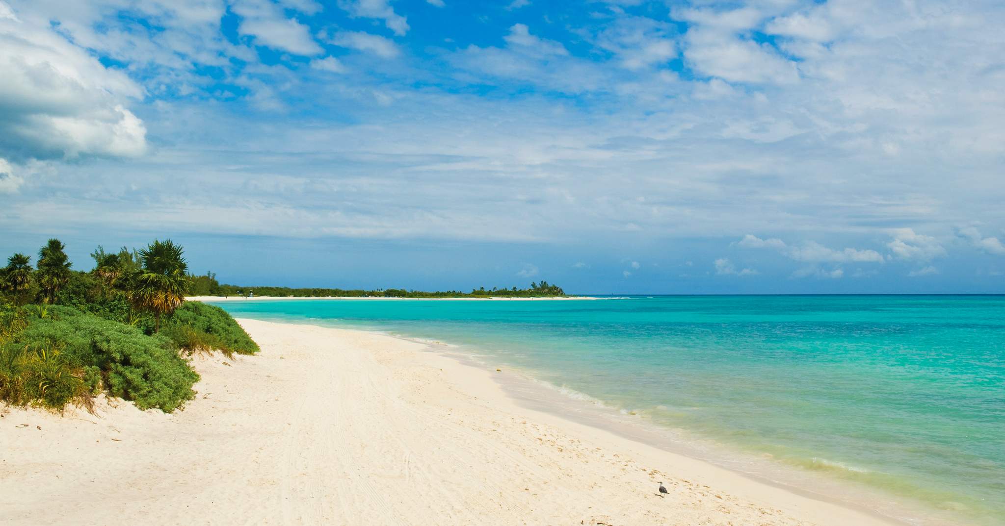 Paradisus Playa del Carmen