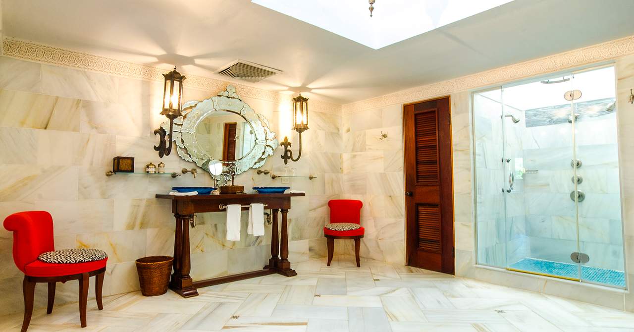 Horned Dorset Primavera