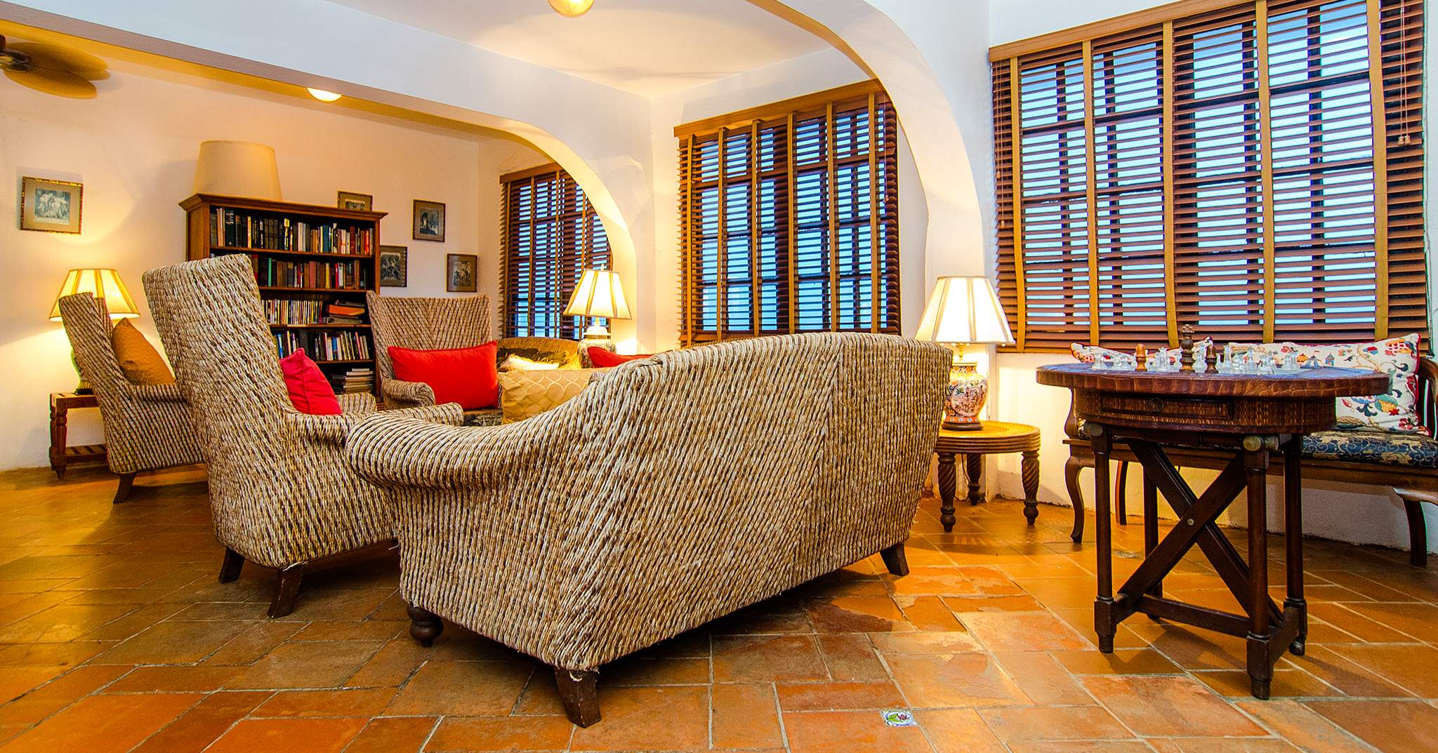 Horned Dorset Primavera