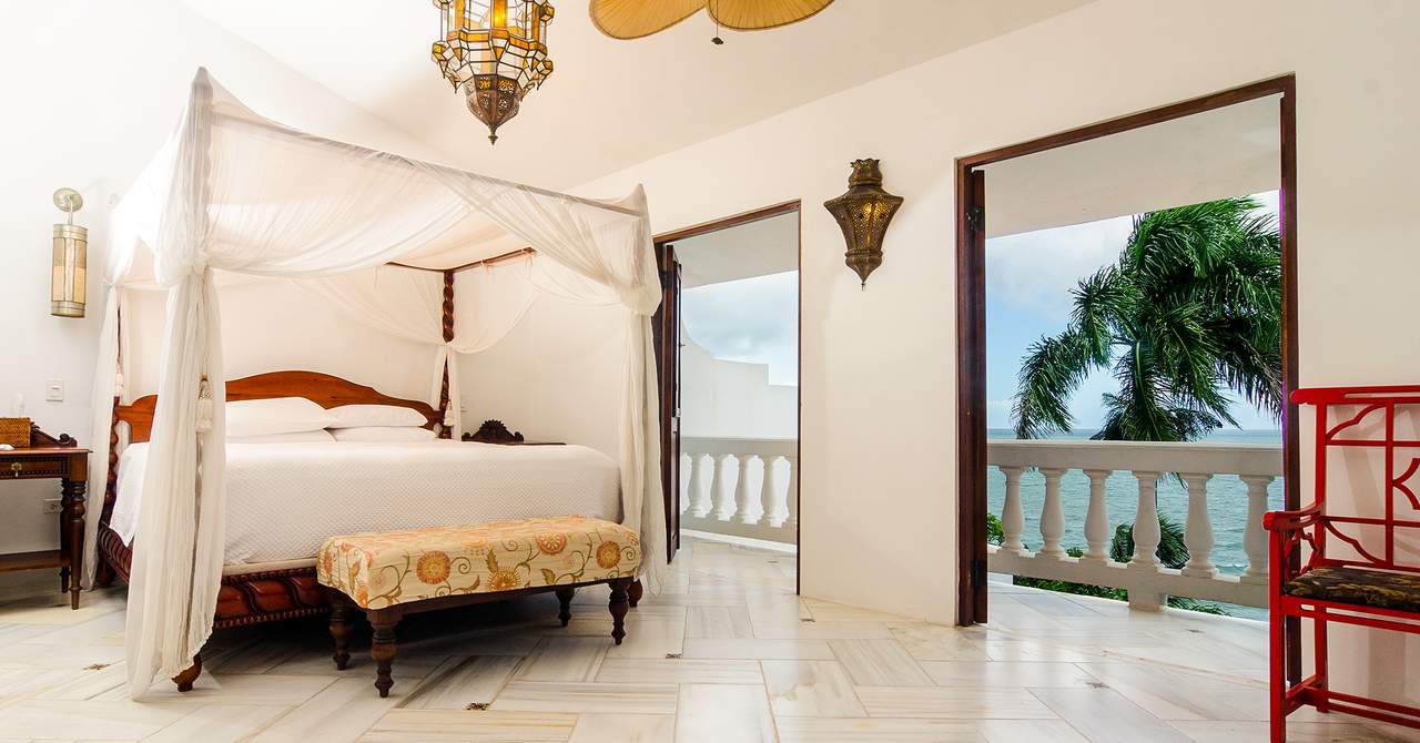 Horned Dorset Primavera