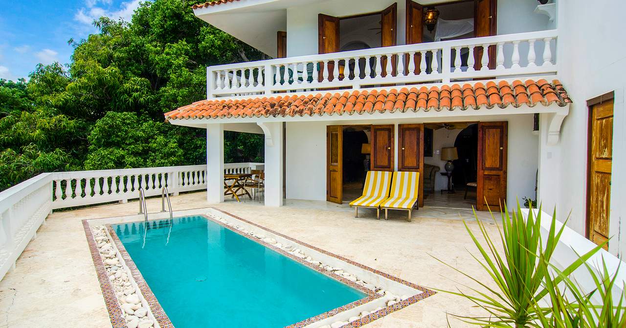 Horned Dorset Primavera