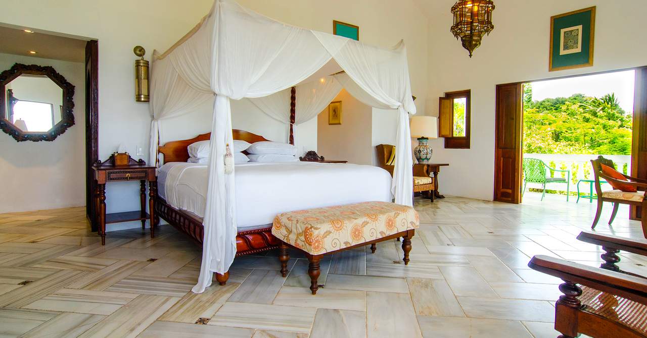 Horned Dorset Primavera