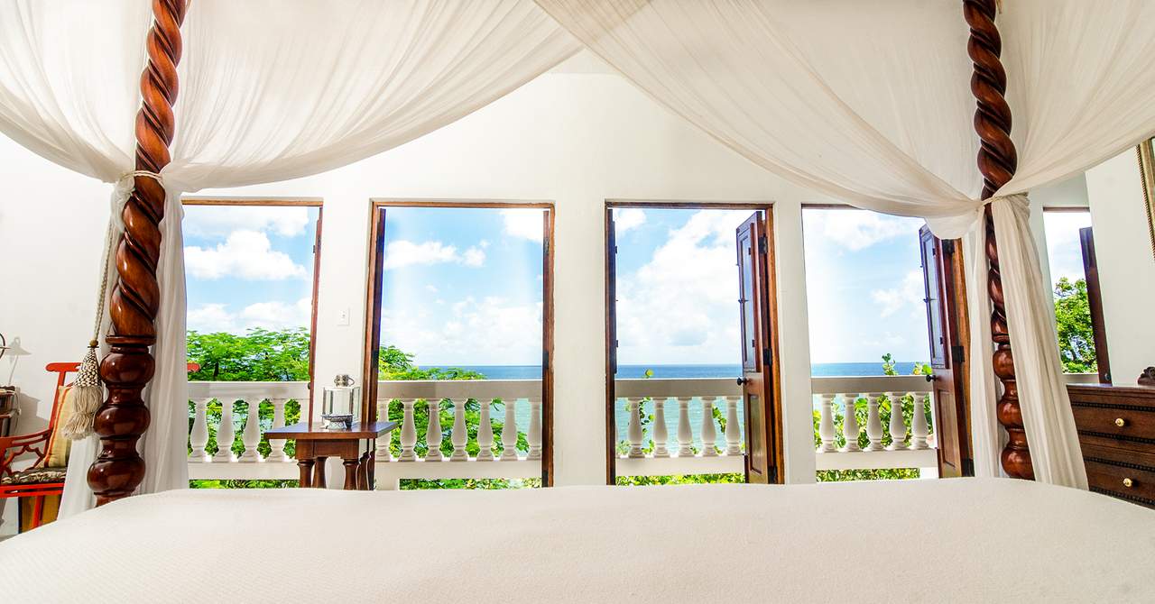 Horned Dorset Primavera