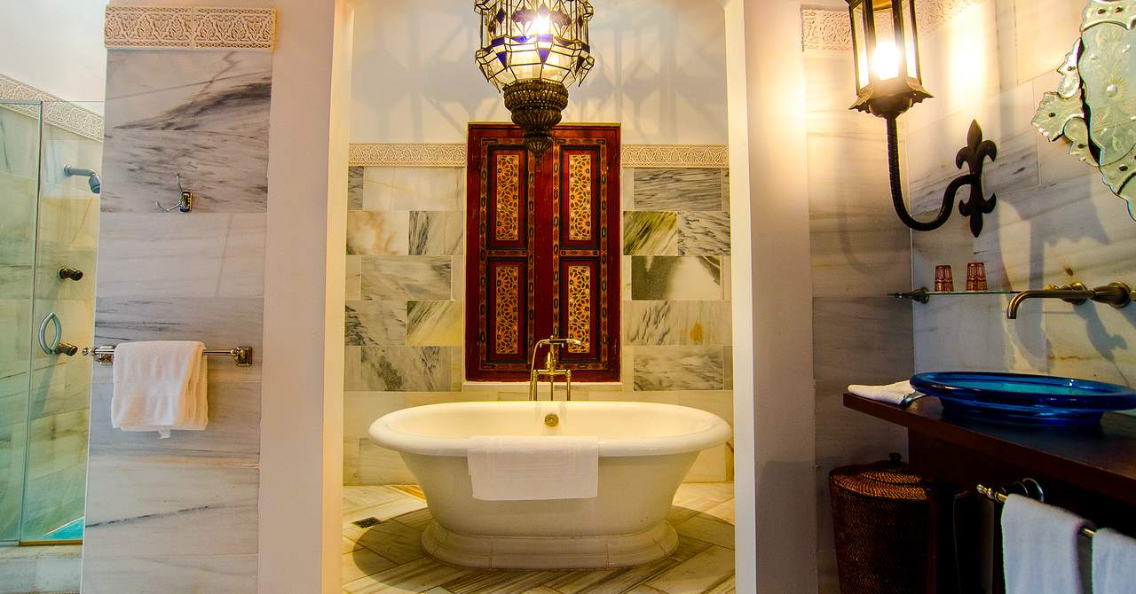 Horned Dorset Primavera