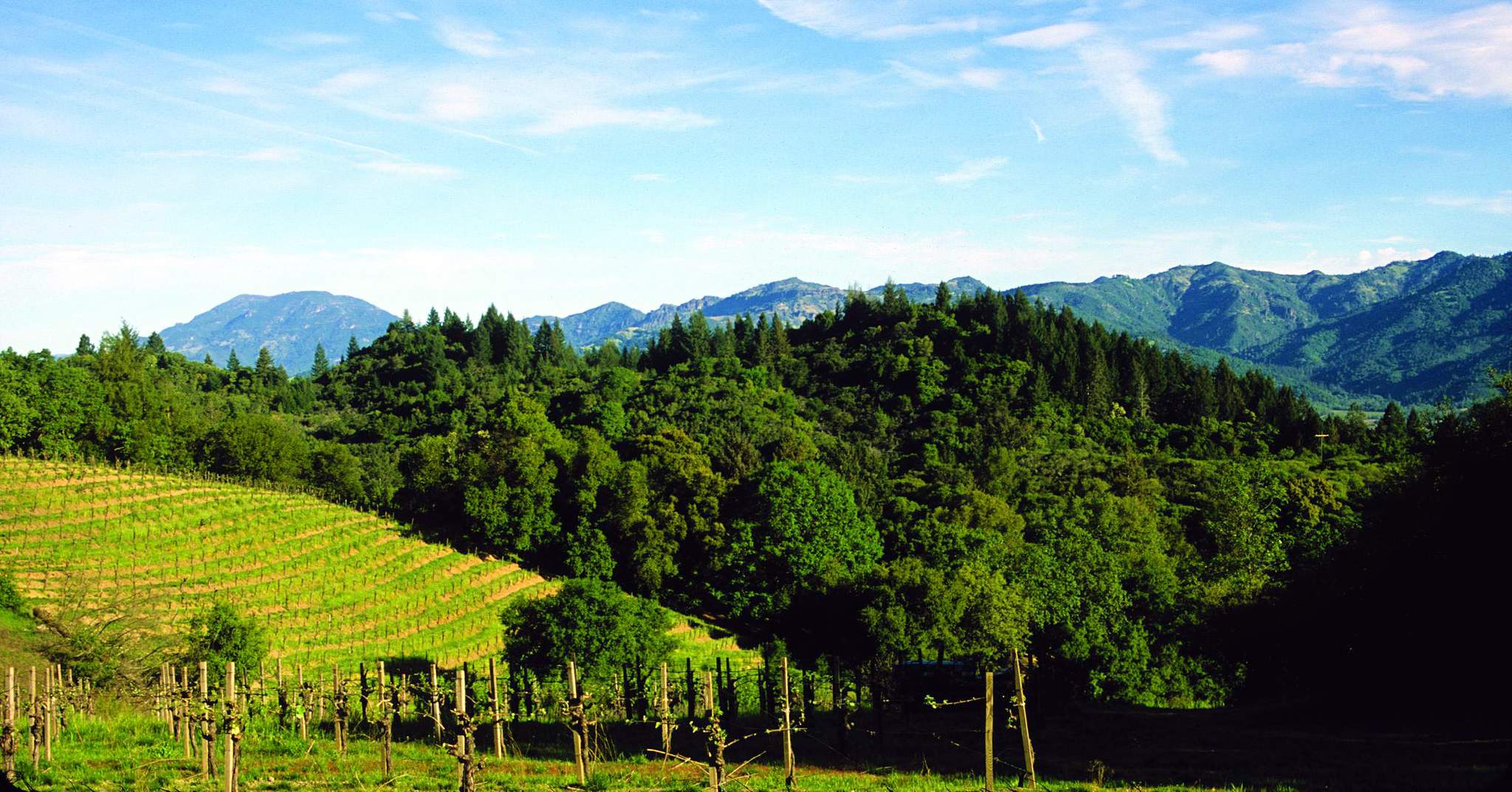 Southbridge Napa Valley